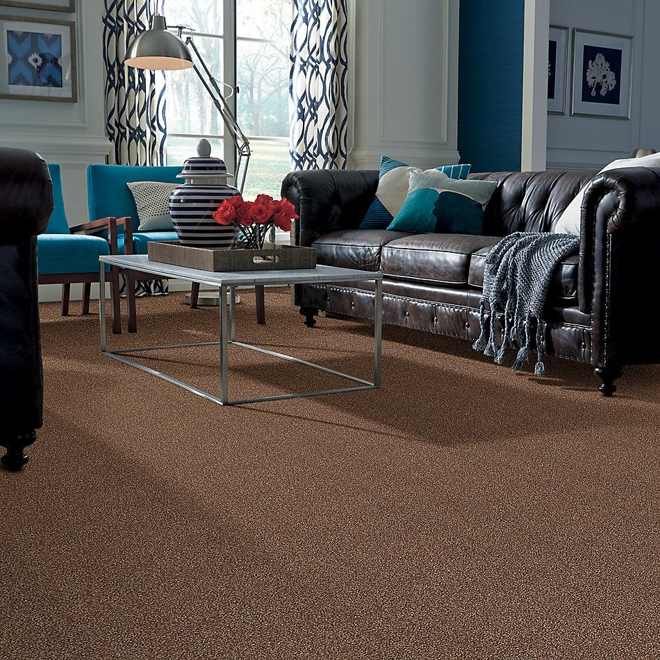 Shaw Floors Simply The Best Super Buy 65 Henna 00704_E9601
