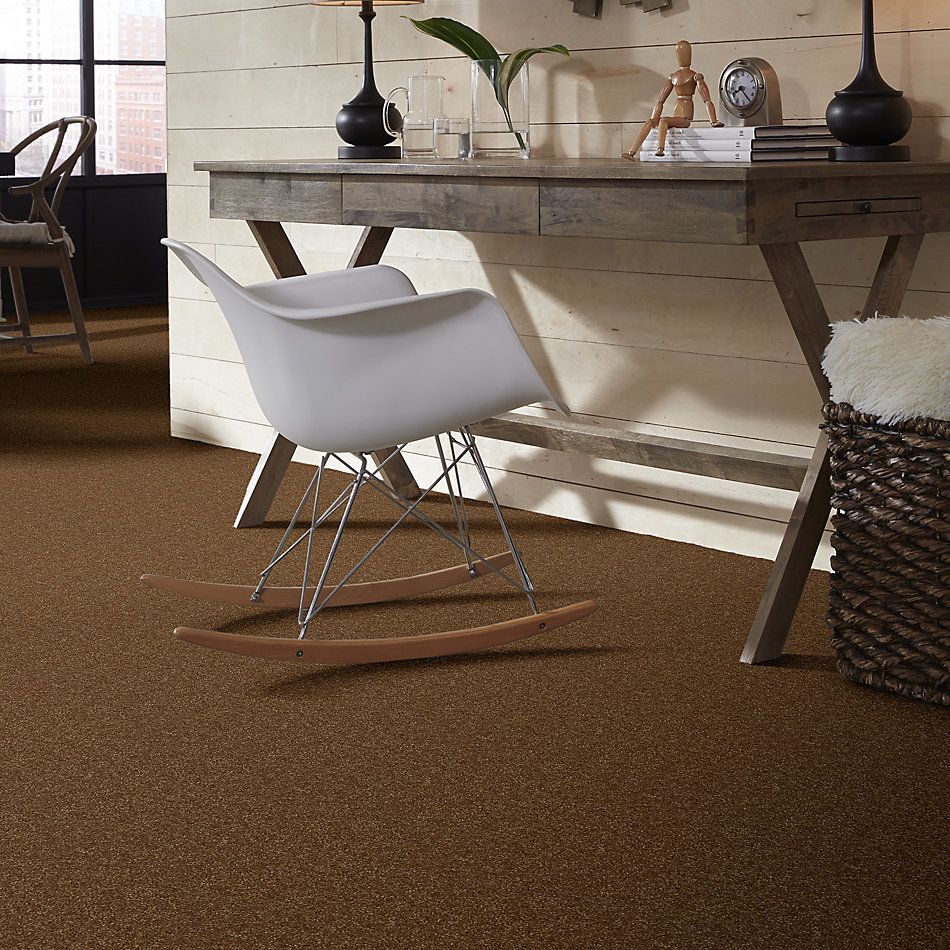 Shaw Floors Value Collections Passageway II 15 Net Brass Button 00704_E9621