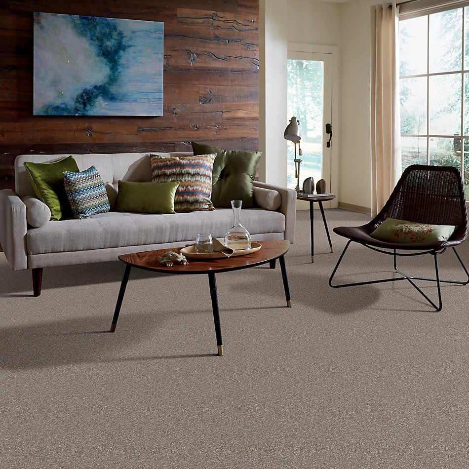 Shaw Floors Trenton Heights Ashen 00704_FQ279