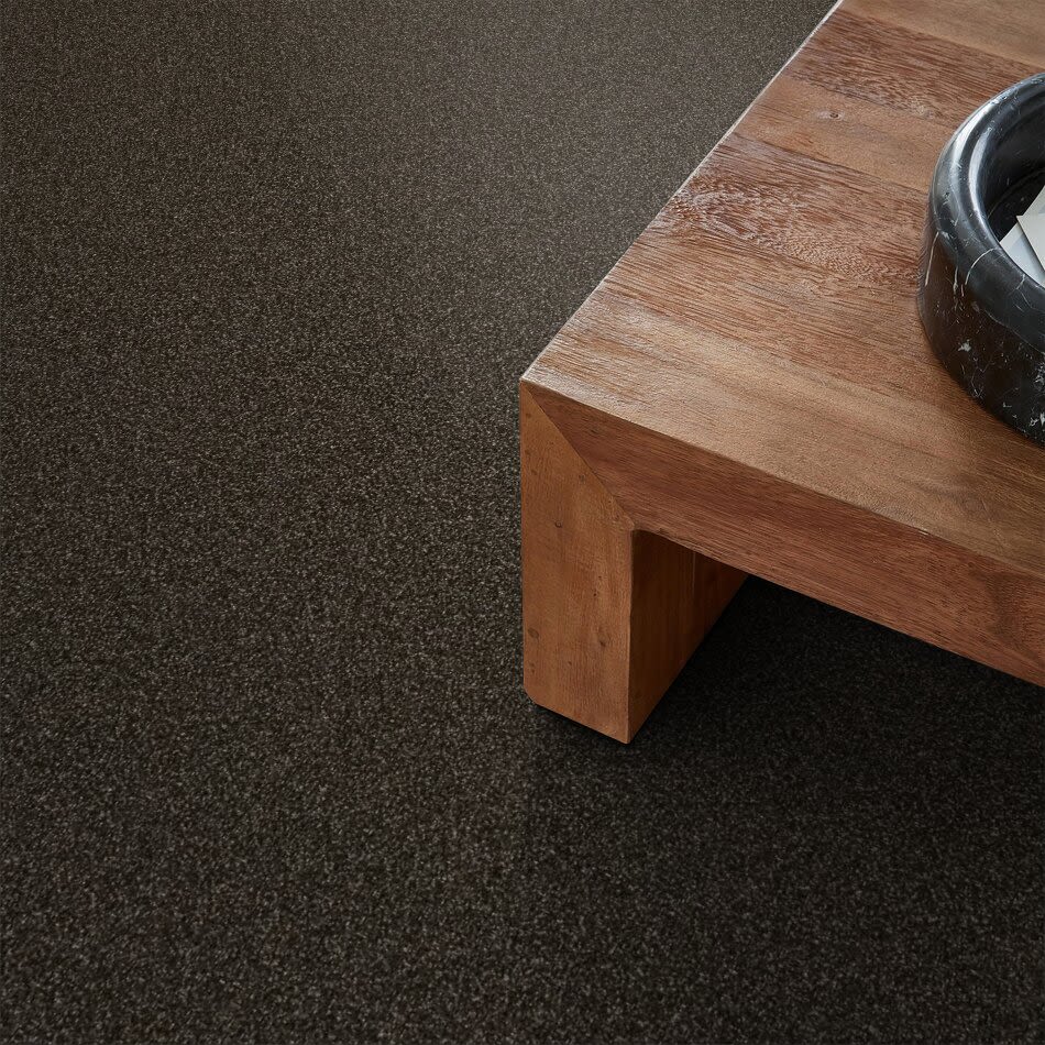 Shaw Floors Value Collections Xy145 12′ Net Wild Horses 00704_XY145
