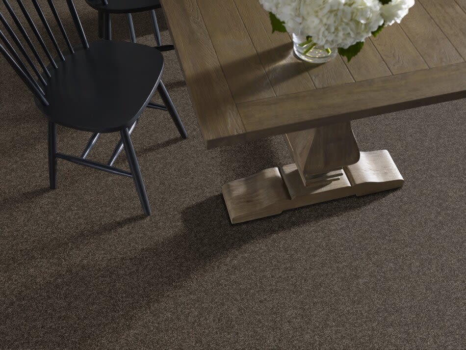 Shaw Floors Value Collections Xy196 Rich Earth 00704_XY196