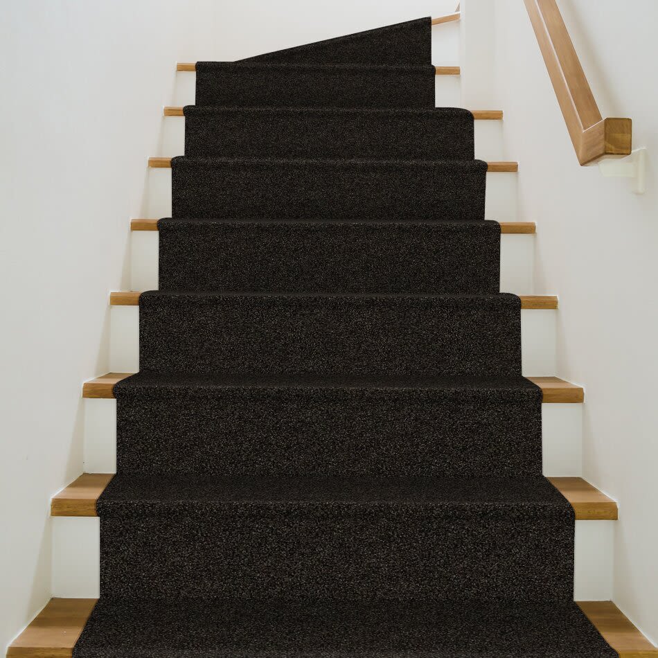 Shaw Floors Value Collections Xy207 Net Rich Earth 00704_XY207