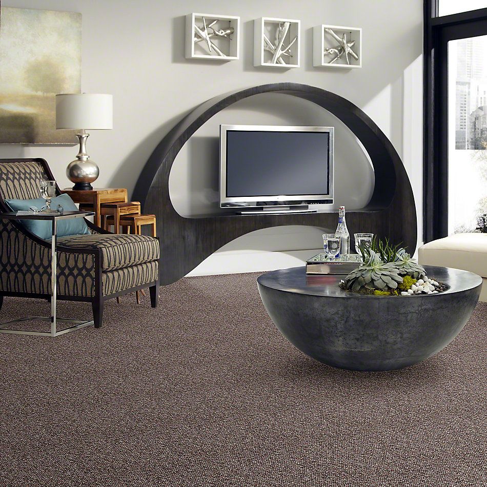 Shaw Floors St. Bryant 12 Rich Earth 19585_00705