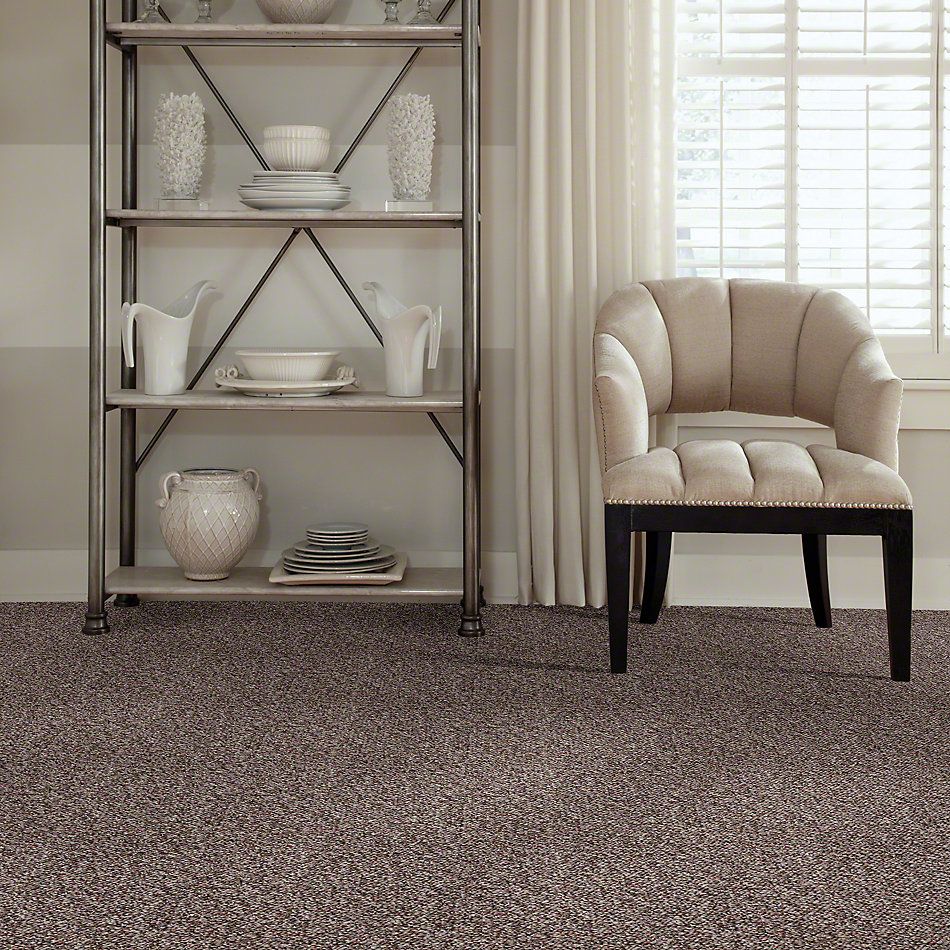 Shaw Floors St. Bryant 12 Rich Earth 19585_00705