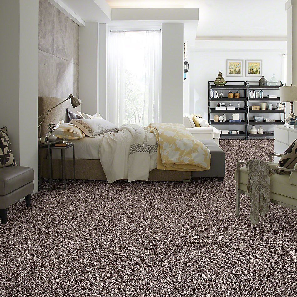 Shaw Floors St. Bryant 12 Rich Earth 19585_00705