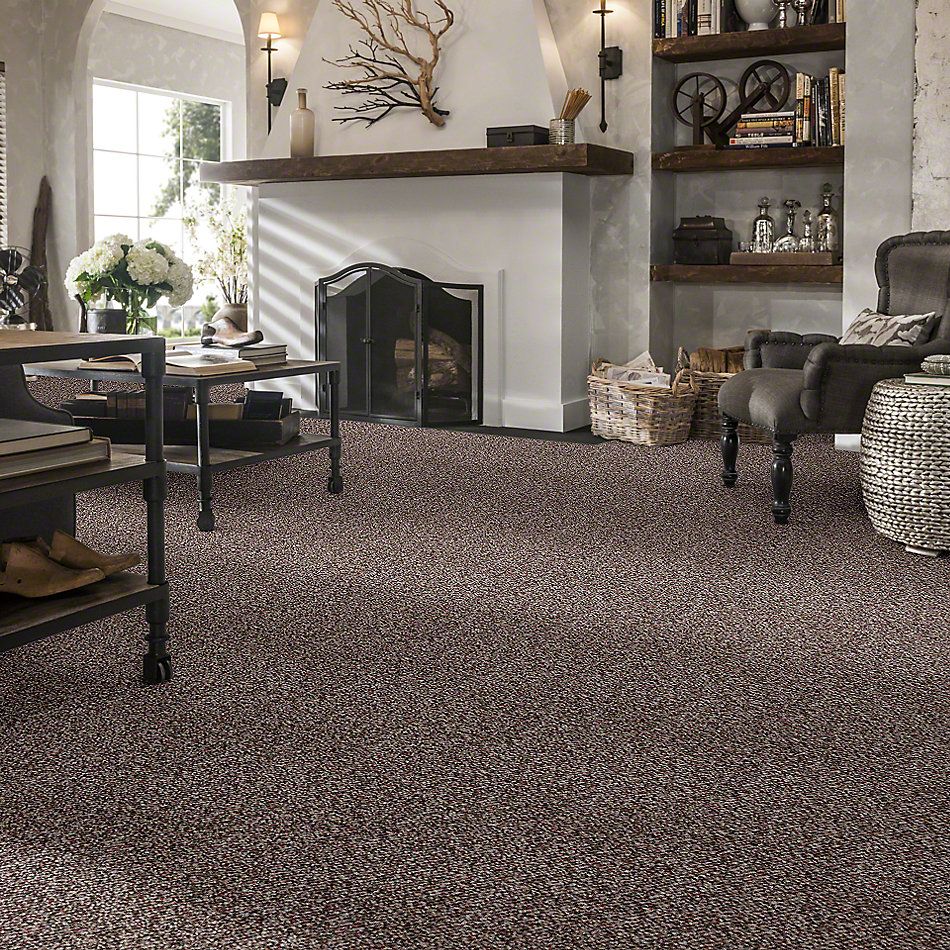 Shaw Floors St. Bryant 12 Rich Earth 19585_00705