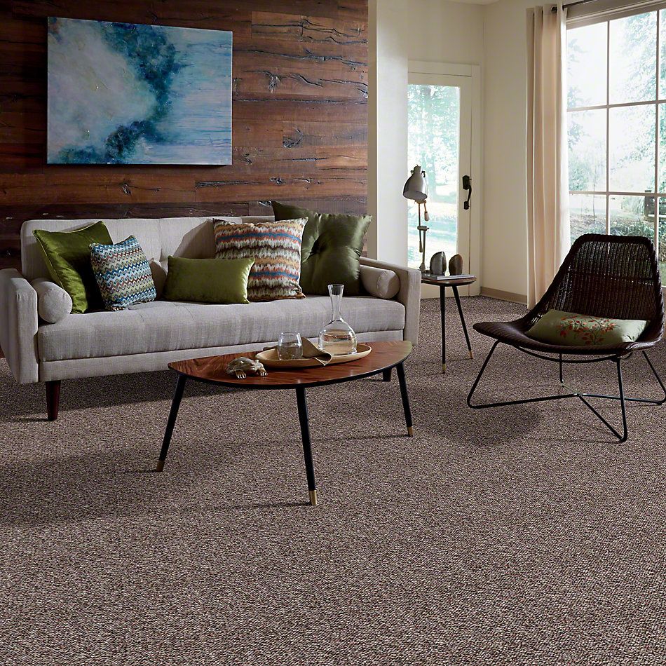 Shaw Floors St. Bryant 12 Rich Earth 19585_00705