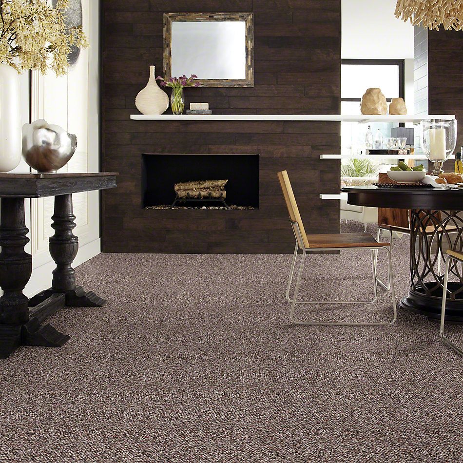 Shaw Floors SFA First Issue Rich Earth 19593_00705