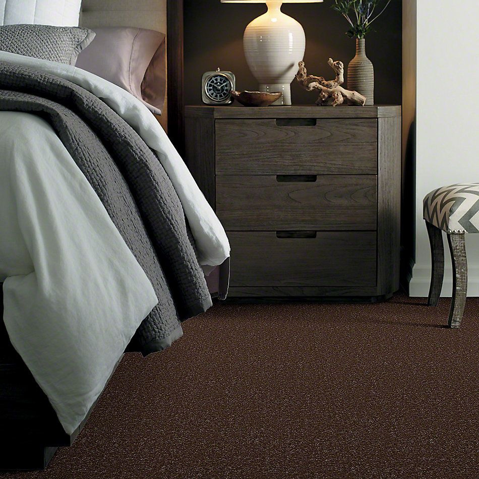 Shaw Floors SFA Passageway I Mocha Chip 52S23_00705