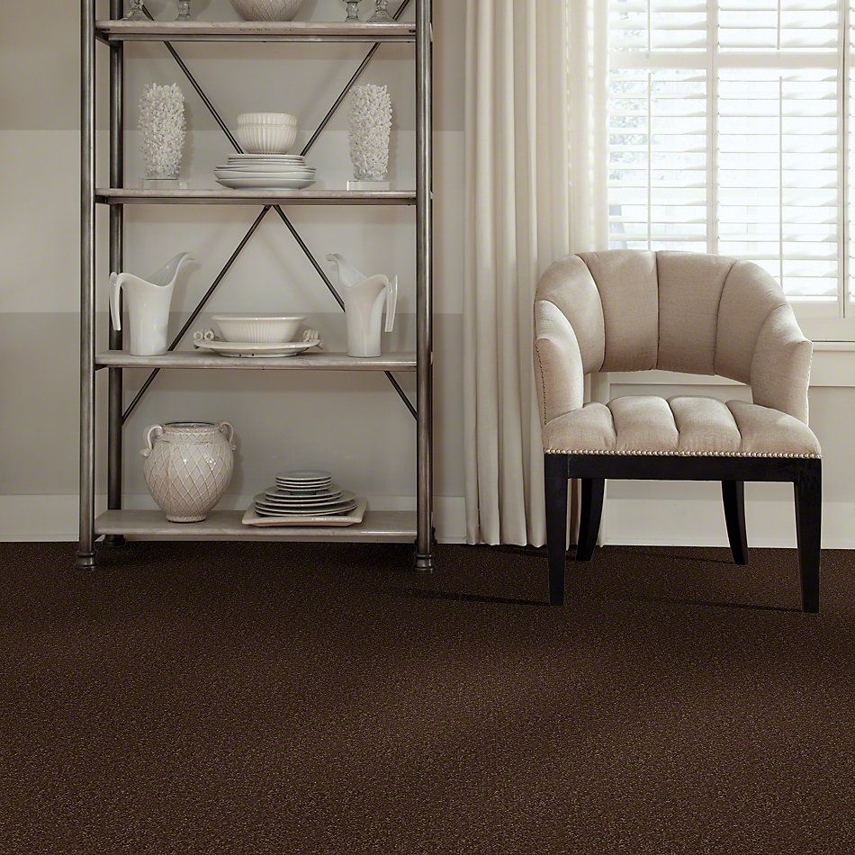 Shaw Floors SFA Passageway II Mocha Chip 52S25_00705