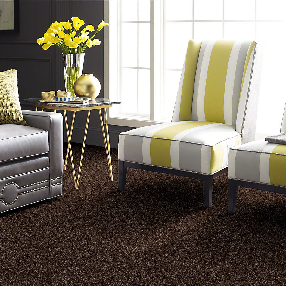 Shaw Floors Town Creek I 12 Mocha Chip 52S28_00705