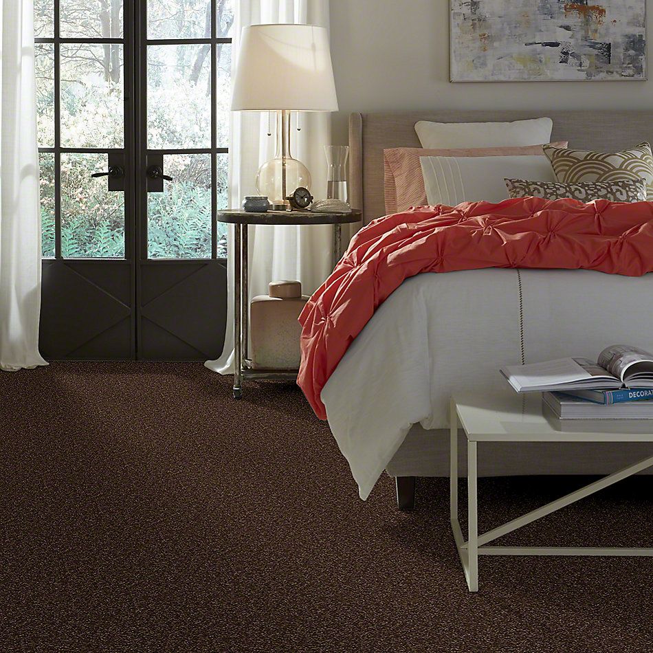 Shaw Floors Town Creek II Mocha Chip 52S30_00705