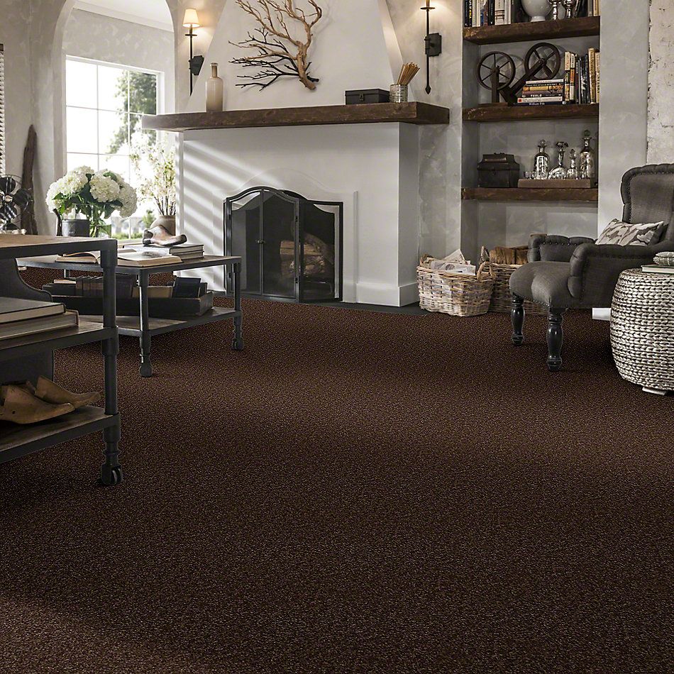 Shaw Floors Town Creek II Mocha Chip 52S30_00705
