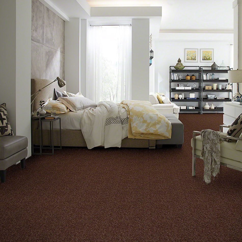 Shaw Floors Town Creek I 15′ Mocha Chip 52V12_00705