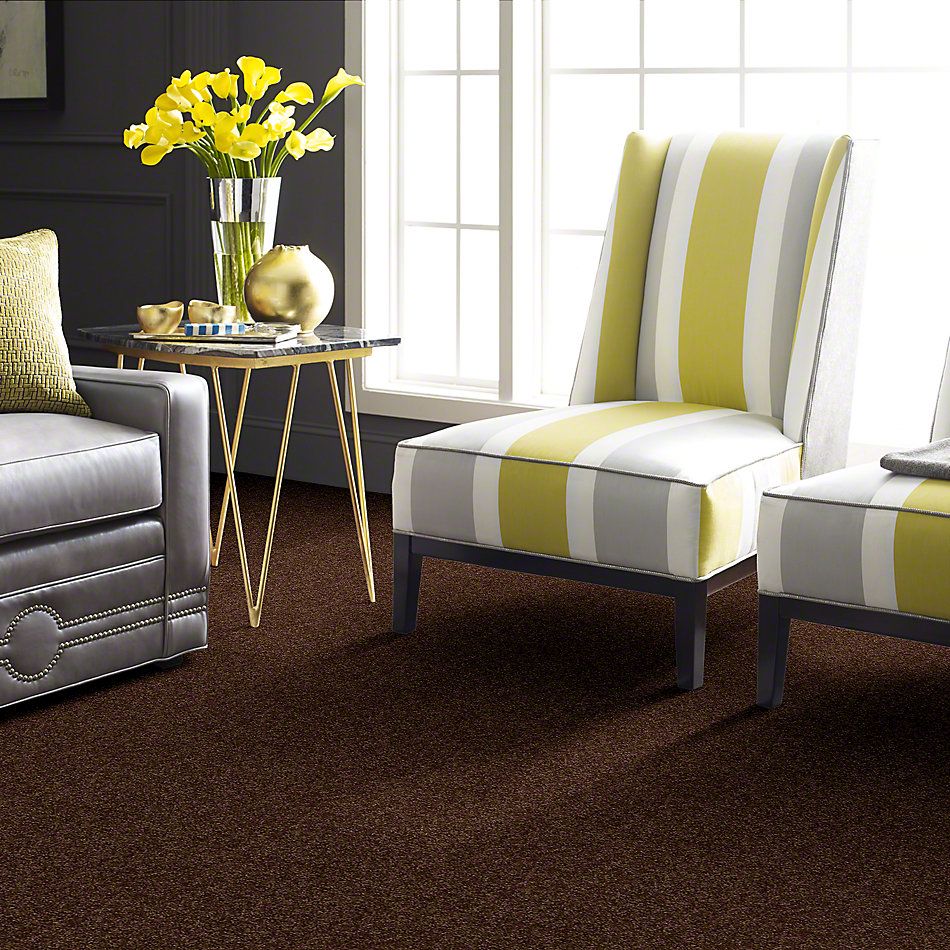 Shaw Floors Town Creek I 15′ Mocha Chip 52V12_00705