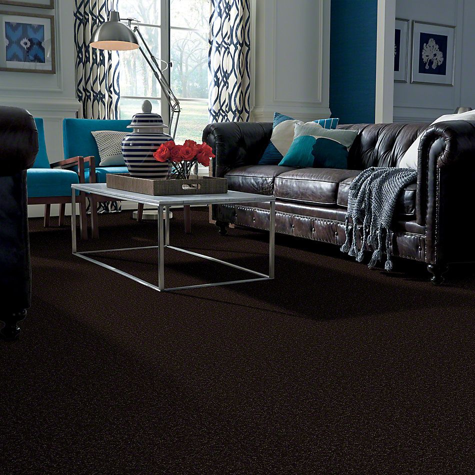 Shaw Floors Full Court 12′ Coffee Bean 52Y46_00705