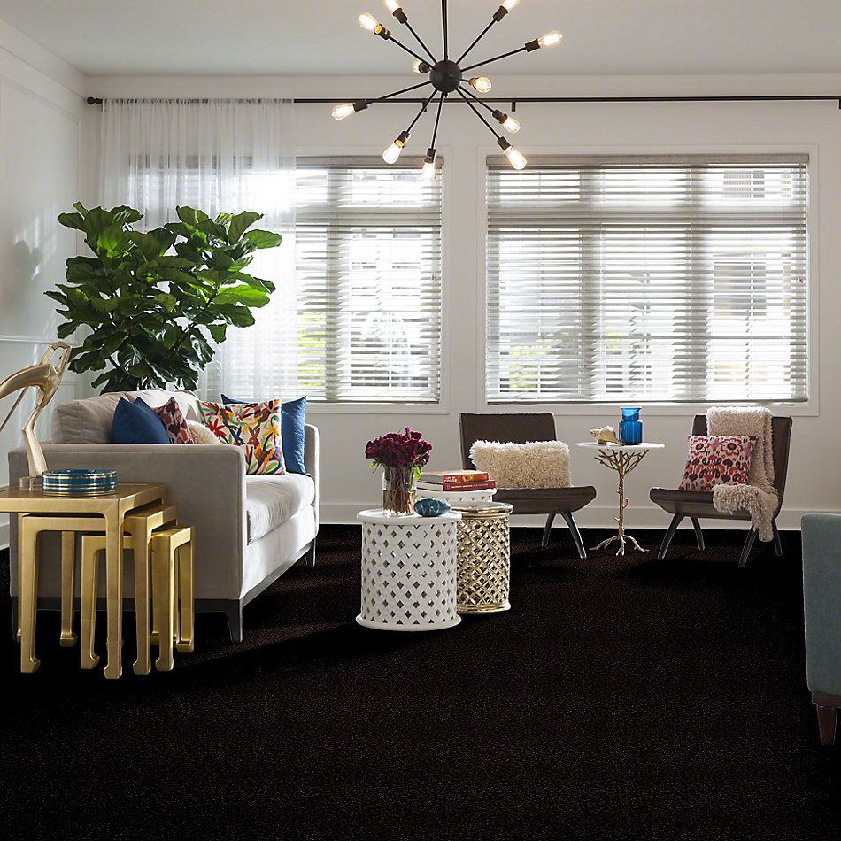 Shaw Floors Full Court 12′ Coffee Bean 52Y46_00705