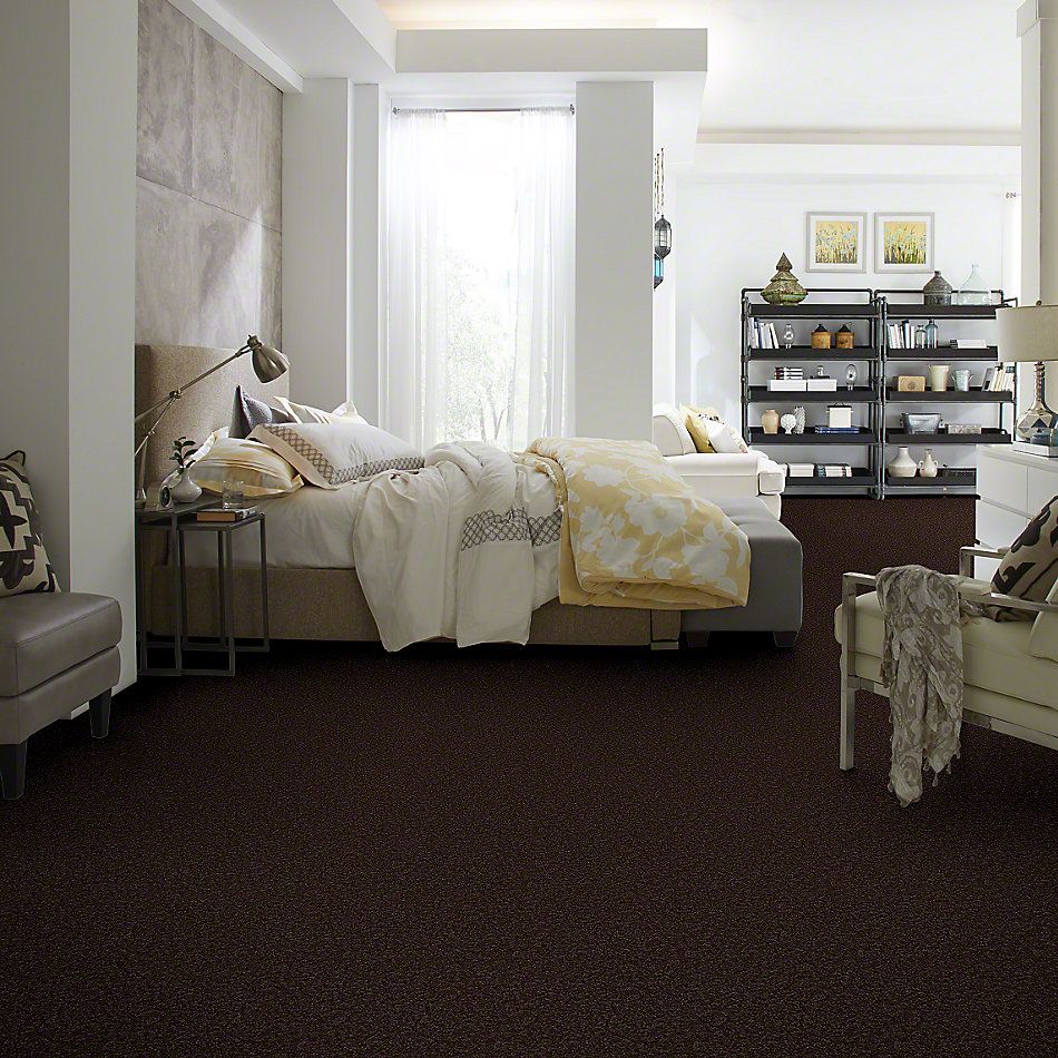 Shaw Floors Shaw Flooring Gallery Union City I 12′ Coffee Bean 00705_5305G