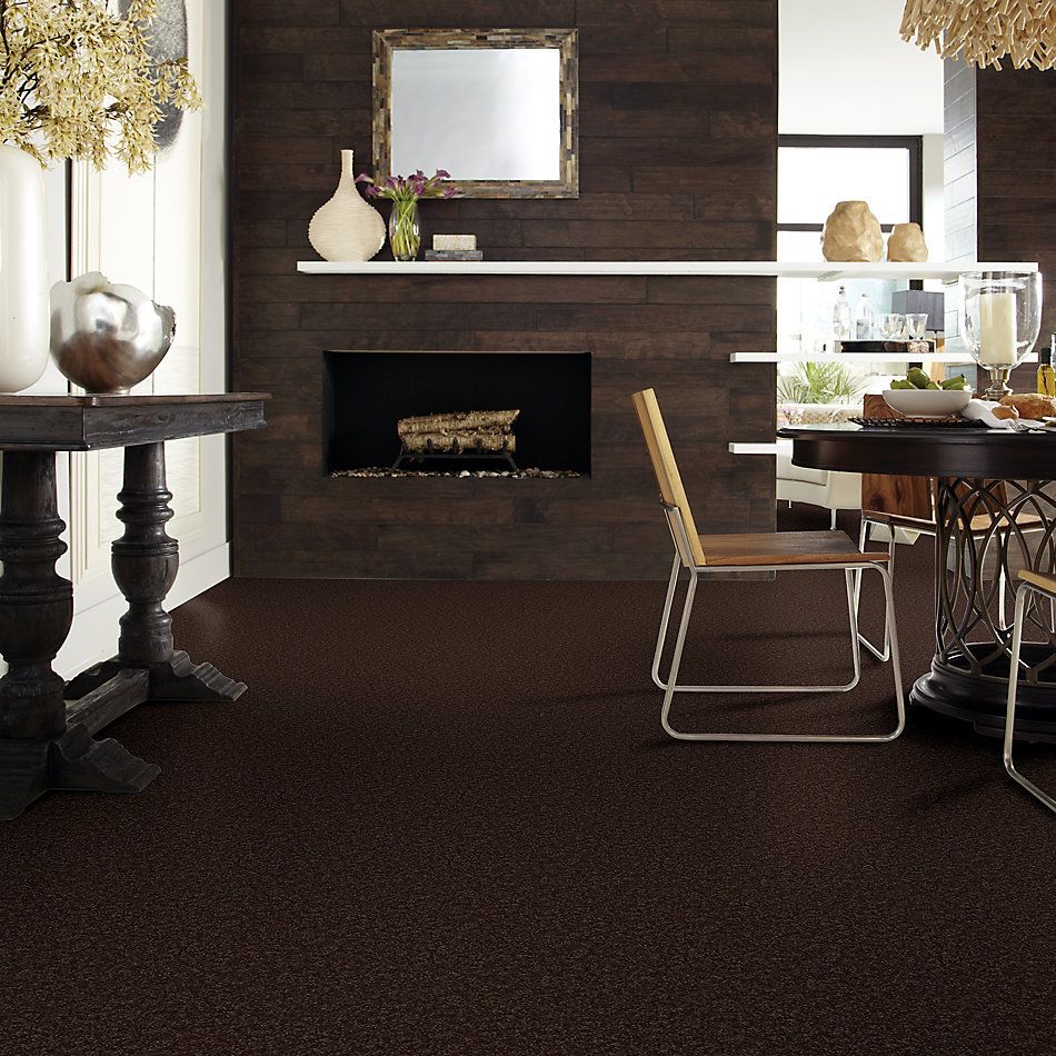 Shaw Floors Value Collections All Star Weekend I 12 Net Coffee Bean 00705_E0792