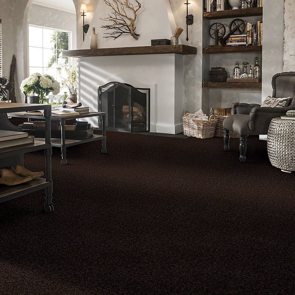 Shaw Floors Value Collections All Star Weekend II 15′ Net Coffee Bean 00705_E0815