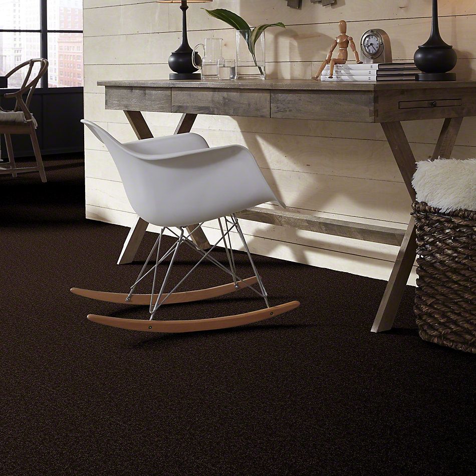Shaw Floors Value Collections All Star Weekend II 15′ Net Coffee Bean 00705_E0815