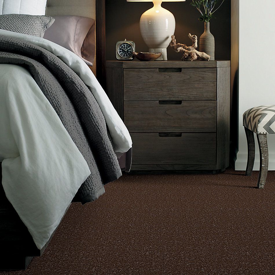 Shaw Floors Value Collections Passageway 2 12 Mocha Chip 00705_E9153