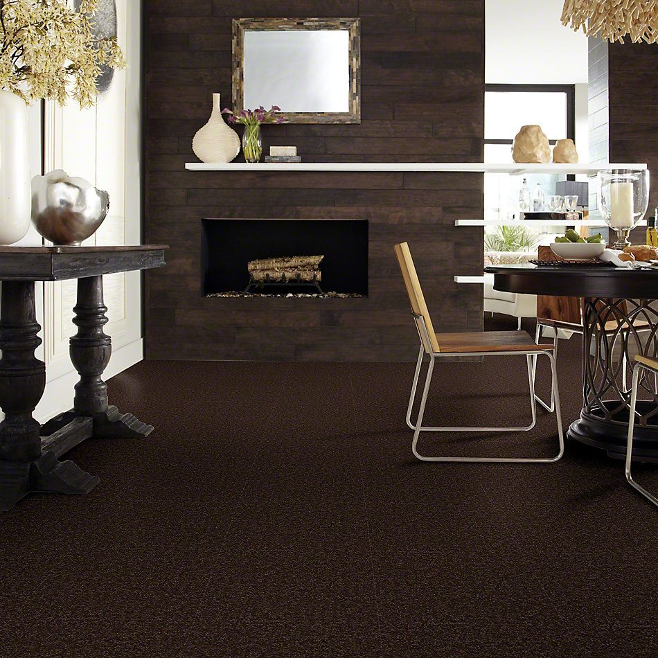 Shaw Floors SFA Drexel Hill II 15′ Coffee Bean 00705_EA052