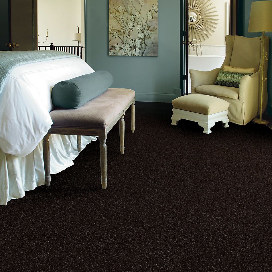 Shaw Floors Property Solutions Specified Venture Solid Coffee Bean 00705_PZ055