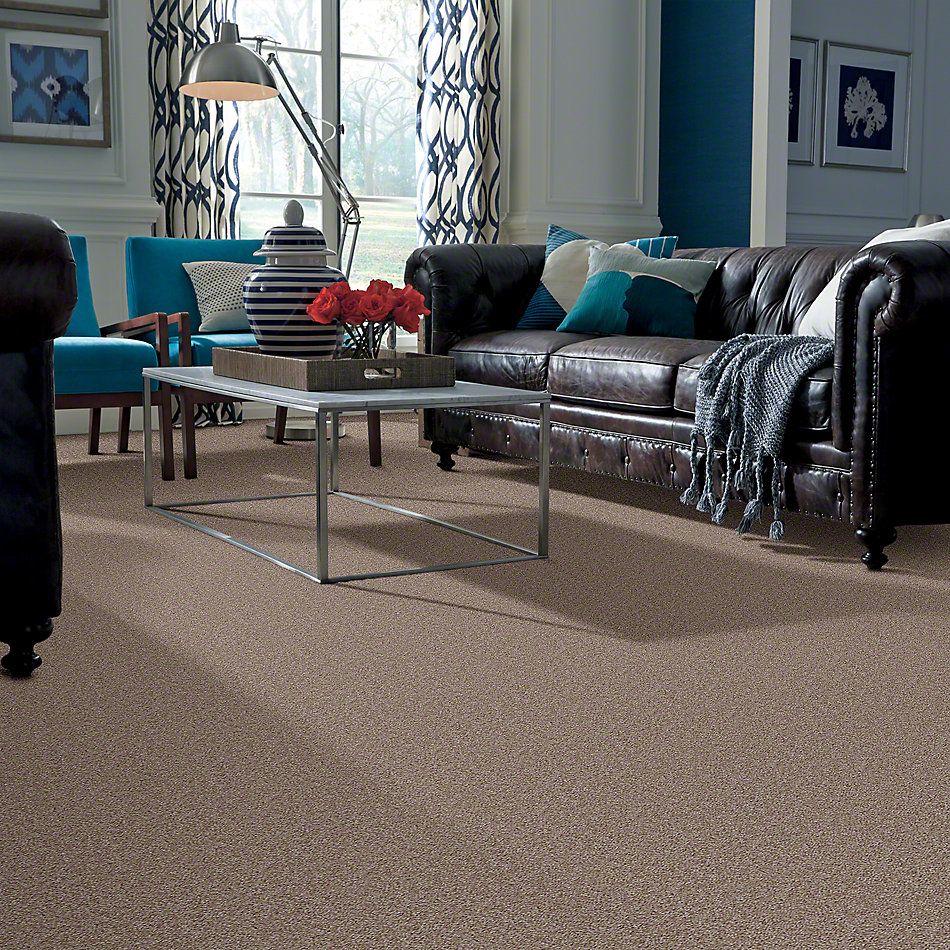 Shaw Floors Instant Winner Soft Suede 52E28_00706