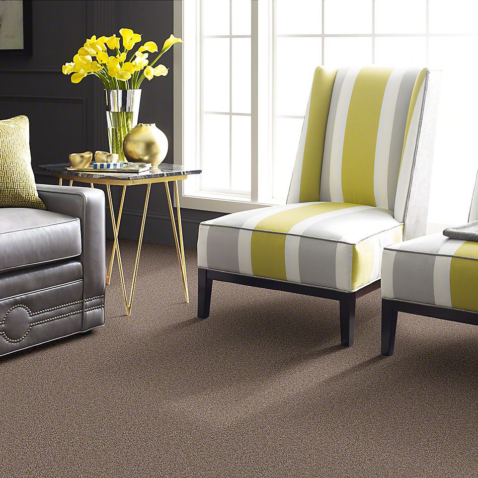 Shaw Floors Instant Winner Soft Suede 52E28_00706