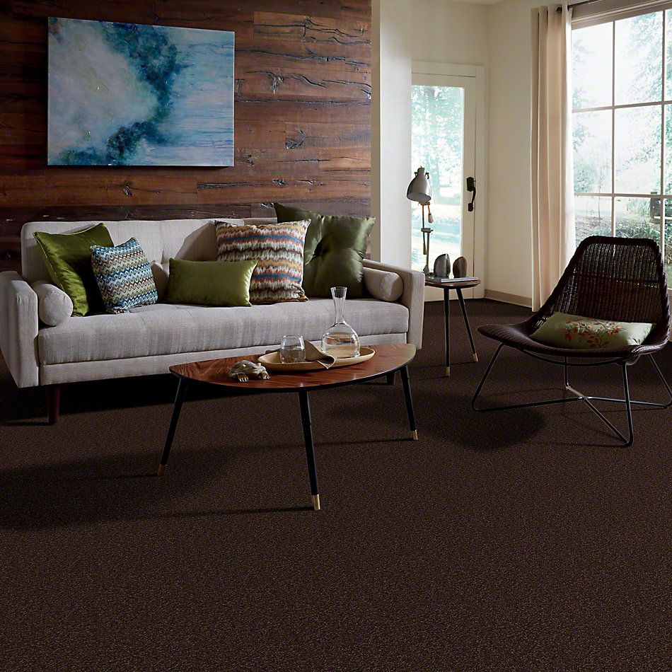 Shaw Floors SFA Passageway II Walnut 52S25_00706