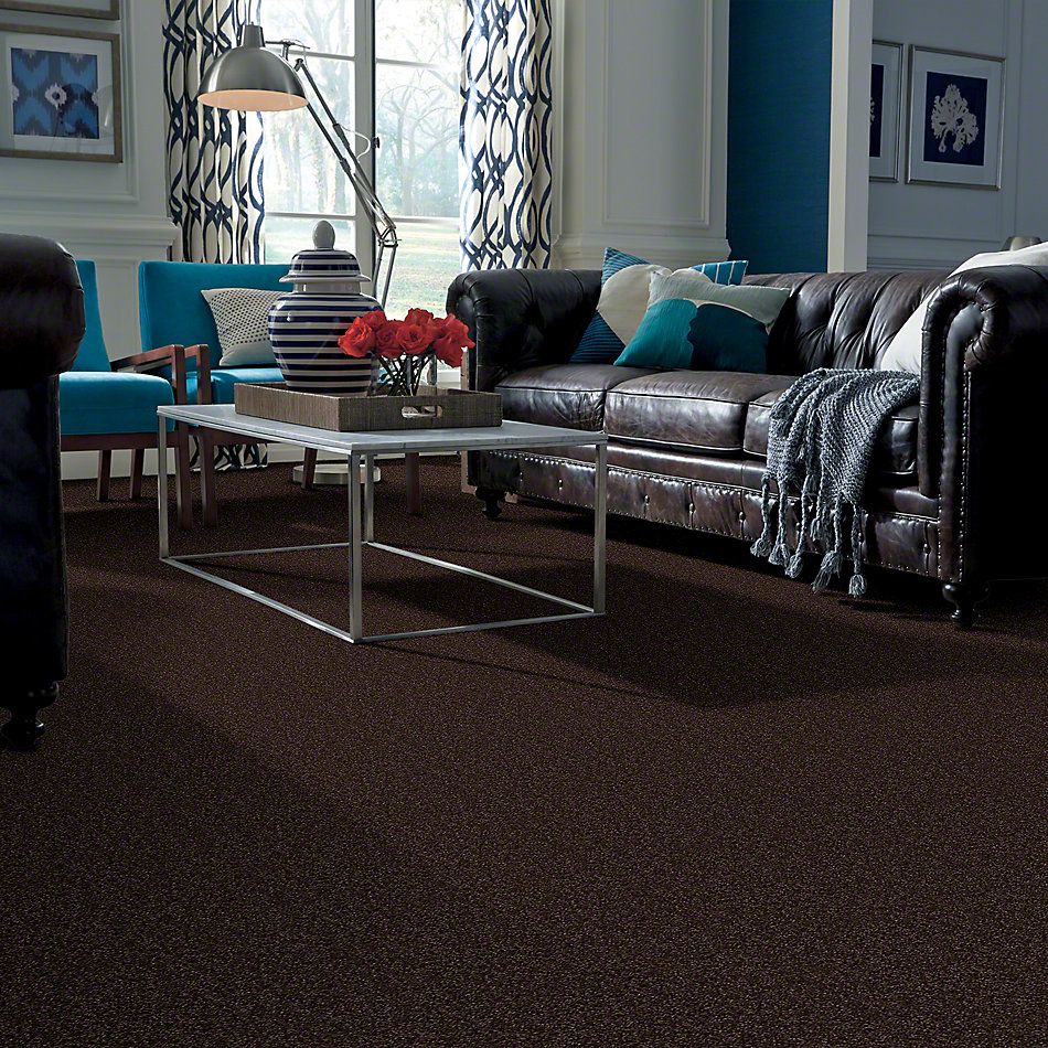 Shaw Floors Town Creek II Walnut 52S30_00706