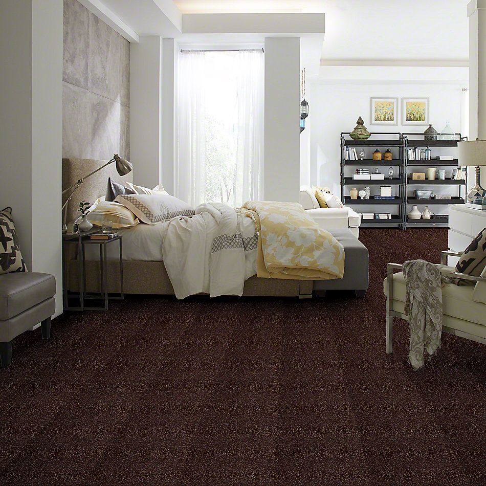 Shaw Floors Town Creek I 15′ Walnut 52V12_00706