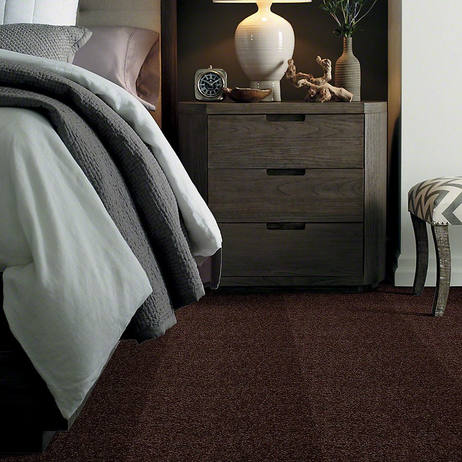 Shaw Floors Town Creek I 15′ Walnut 52V12_00706