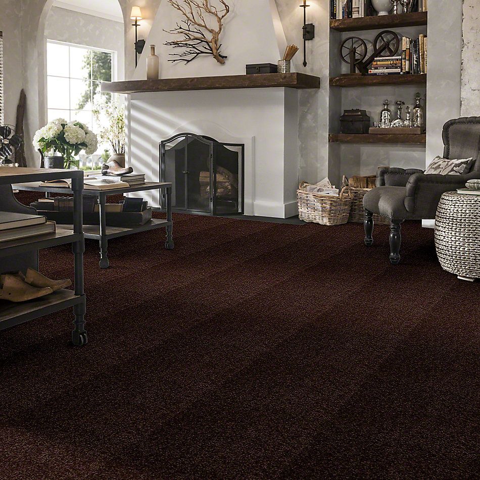 Shaw Floors Town Creek I 15′ Walnut 52V12_00706