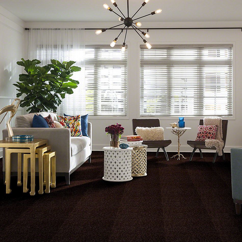 Shaw Floors Town Creek I 15′ Walnut 52V12_00706