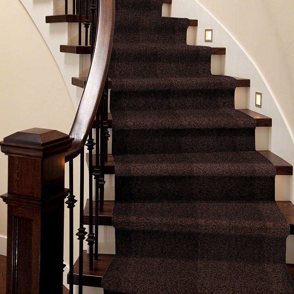Shaw Floors Town Creek I 15′ Walnut 52V12_00706