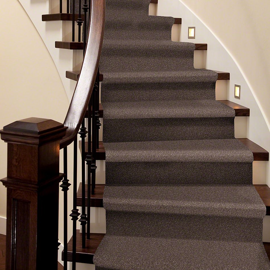 Shaw Floors Shaw Flooring Gallery Perfectly Timed Rustic Taupe 00706_5572G