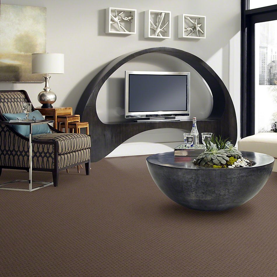 Shaw Floors Caress By Shaw The Arts Pebble Creek 00706_CCP20