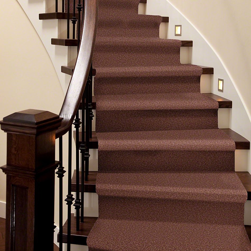 Shaw Floors SFA Timeless Appeal II 15′ English Toffee 00706_Q4313