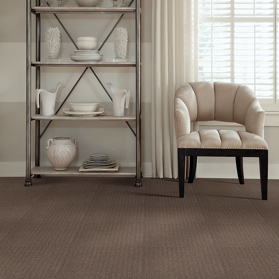 Shaw Floors SFA My Expression Lg Pebble Creek 00706_CC28B