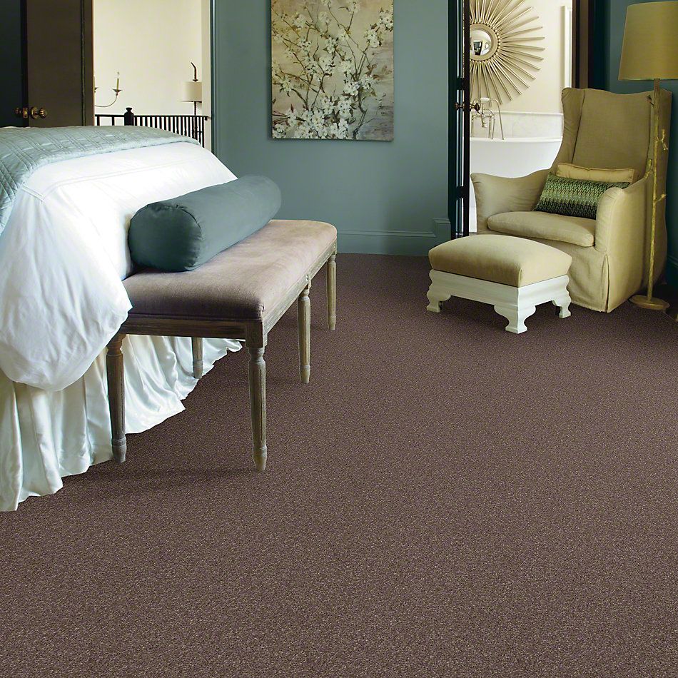 Shaw Floors Value Collections That’s Right Net Rustic Taupe 00706_E0925