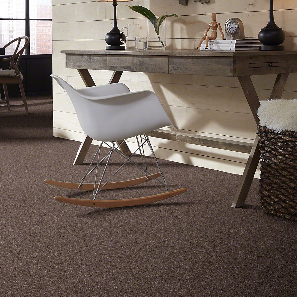 Shaw Floors Value Collections Xvn07 (s) Rustic Taupe 00706_E1240