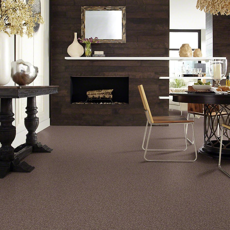Shaw Floors Value Collections Look Forward Net Rustic Taupe 00706_E9125