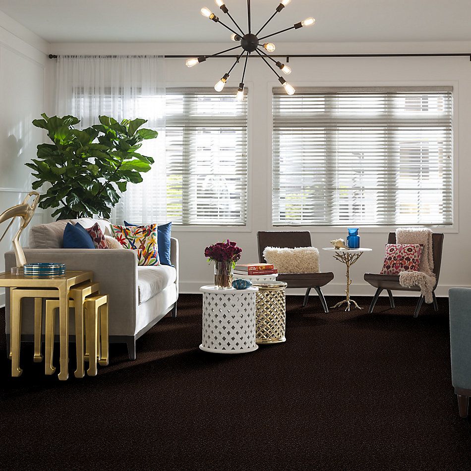 Shaw Floors Value Collections Passageway 2 12 Walnut 00706_E9153