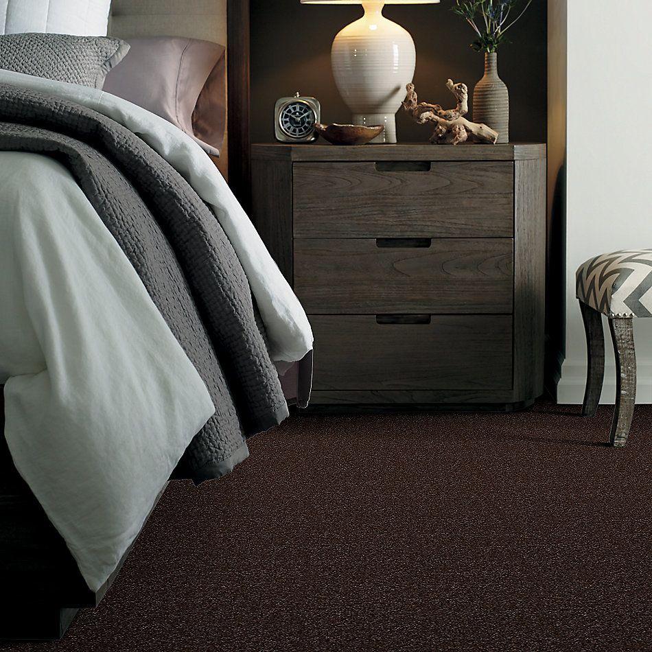 Shaw Floors Value Collections Passageway II 15 Net Walnut 00706_E9621