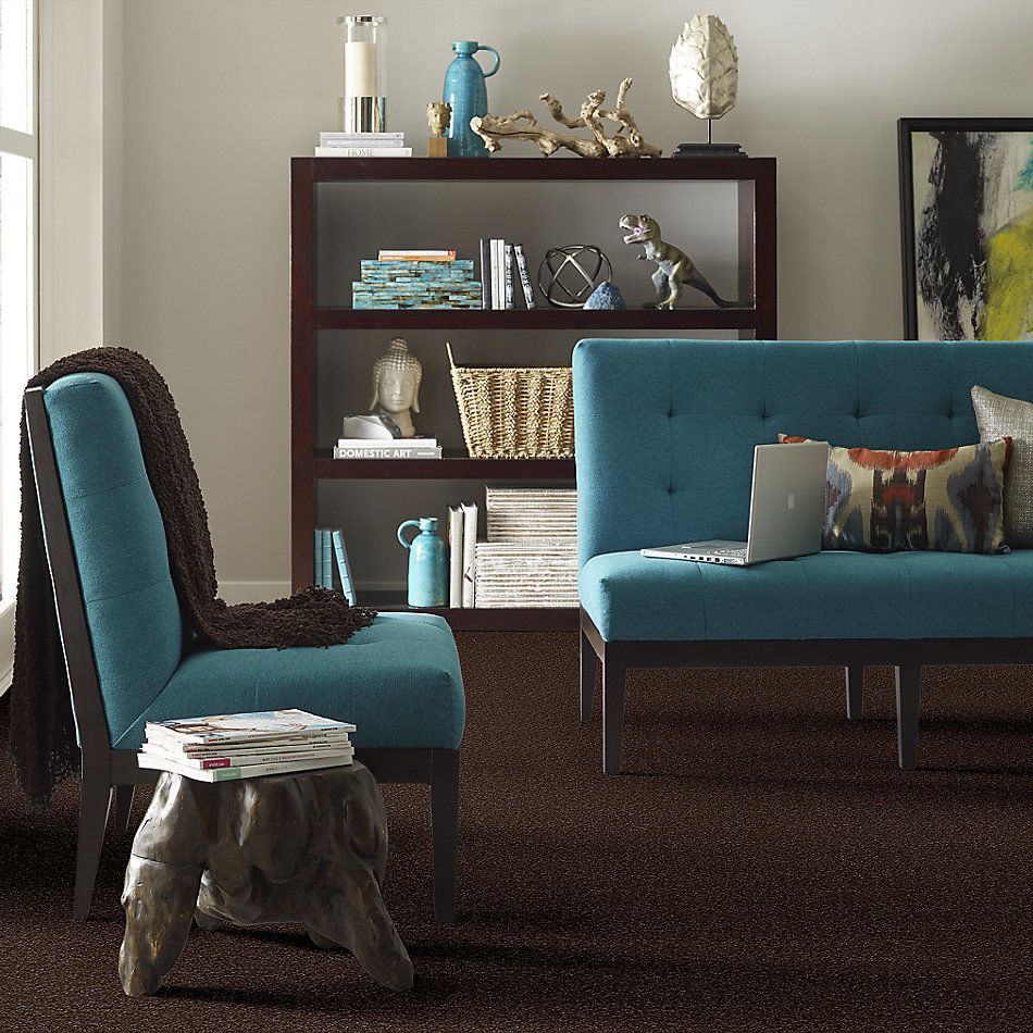 Shaw Floors Value Collections Passageway II 15 Net Walnut 00706_E9621