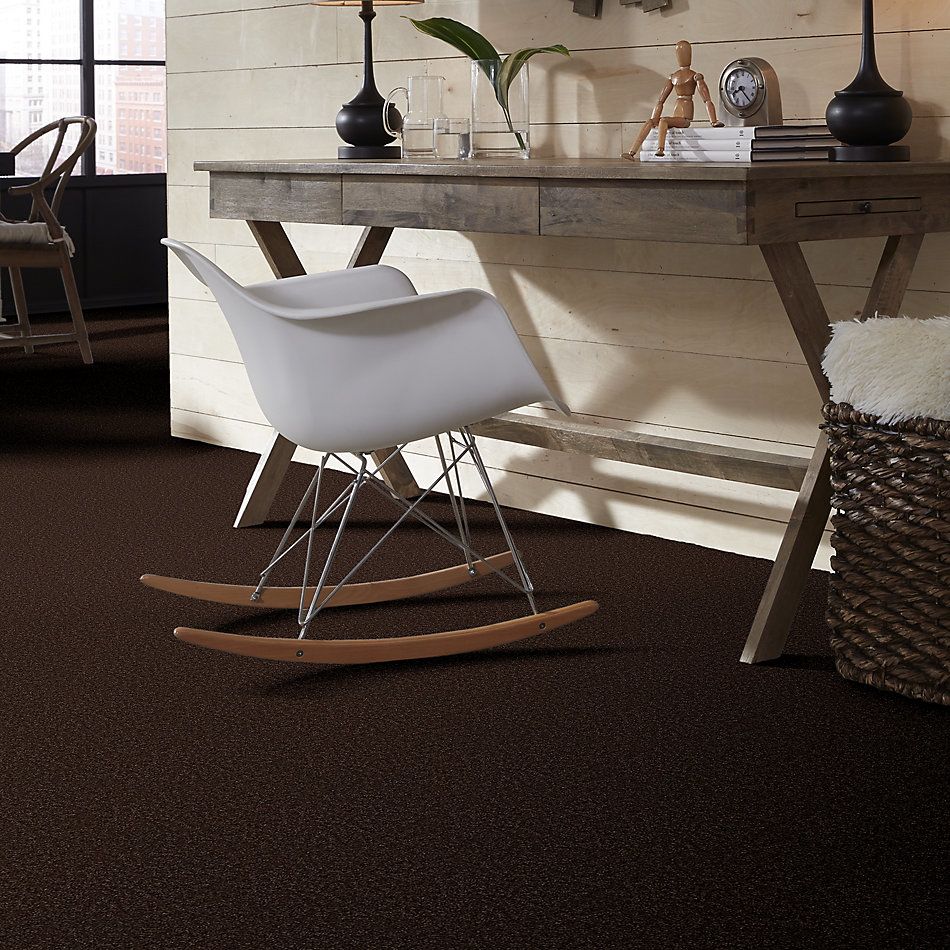 Shaw Floors Value Collections Passageway II 15 Net Walnut 00706_E9621