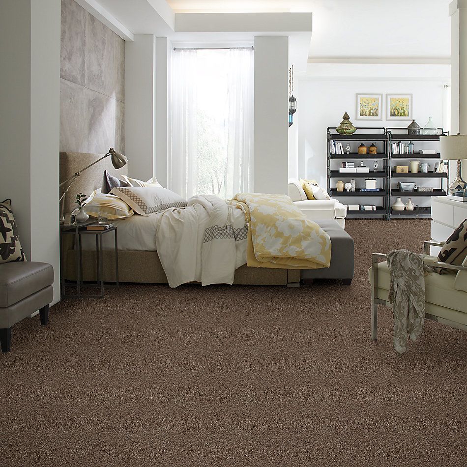 Shaw Floors Nfa/Apg Blended Trio Pebble Creek 00706_NA133