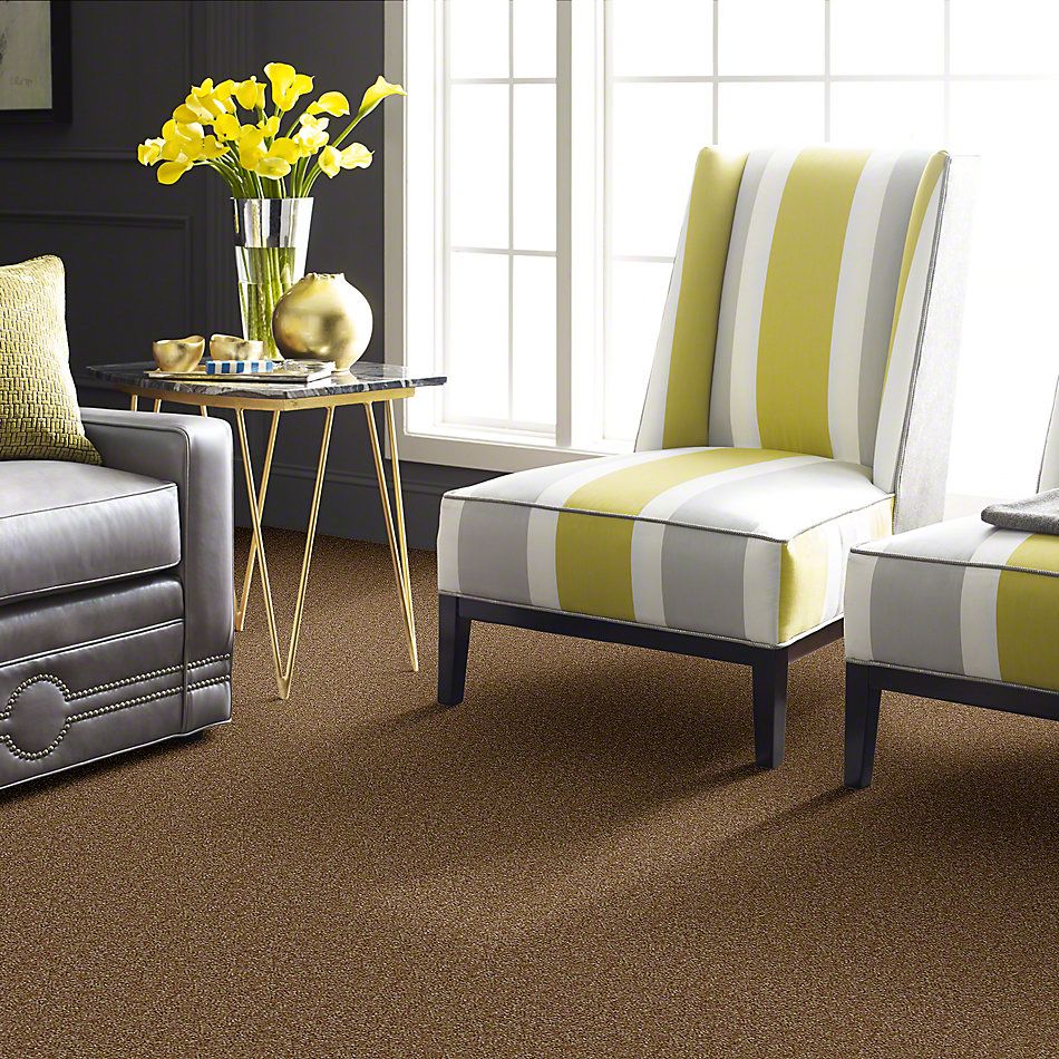 Shaw Floors Instant Winner Chino 52E28_00707